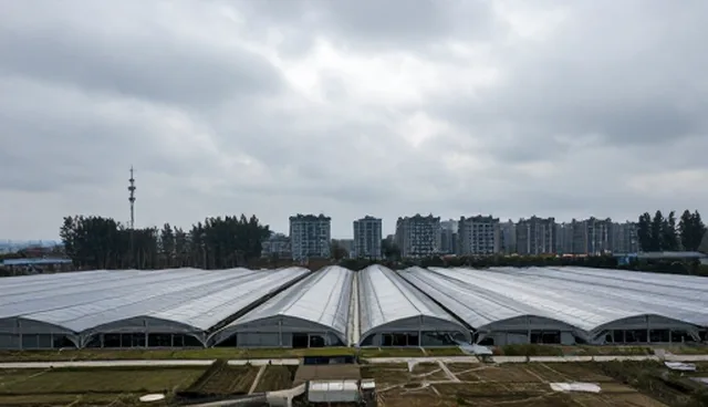 品牌升级中服务质量如何影响客户信任
